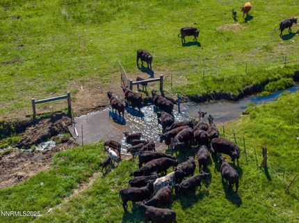 05 Franktown Rd, Washoe Valley, NV 89704 Photo