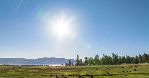 05 Franktown Rd, Washoe Valley, NV 89704 Photo