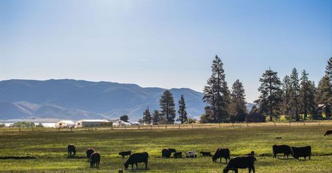 05 Franktown Rd, Washoe Valley, NV 89704 Photo