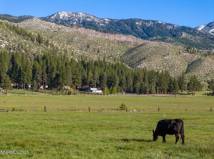 05 Franktown Rd, Washoe Valley, NV 89704 Photo