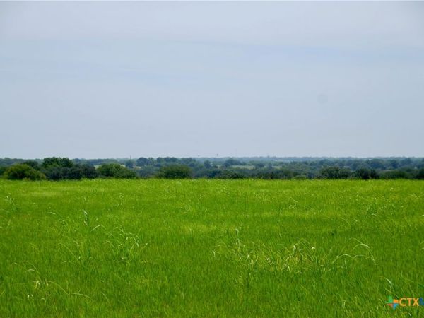 Tract 4 Company Field Road, Schulenburg, TX 78956