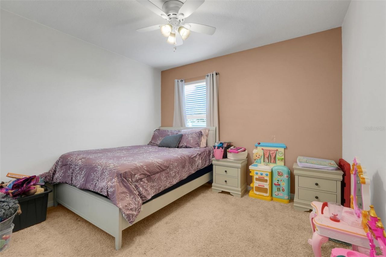 9654 Black Walnut Drive, Clermont, FL 34715 Photo
