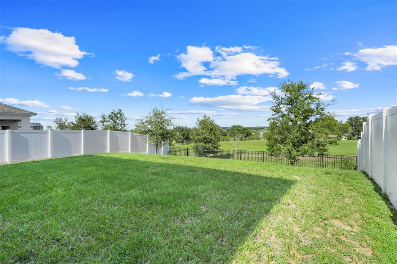 9654 Black Walnut Drive, Clermont, FL 34715 Photo