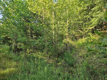 1 Westminster Drive, Morgantown, WV 26505