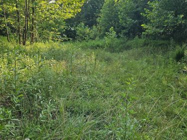 #2 Westminster Drive, Morgantown, WV 26505