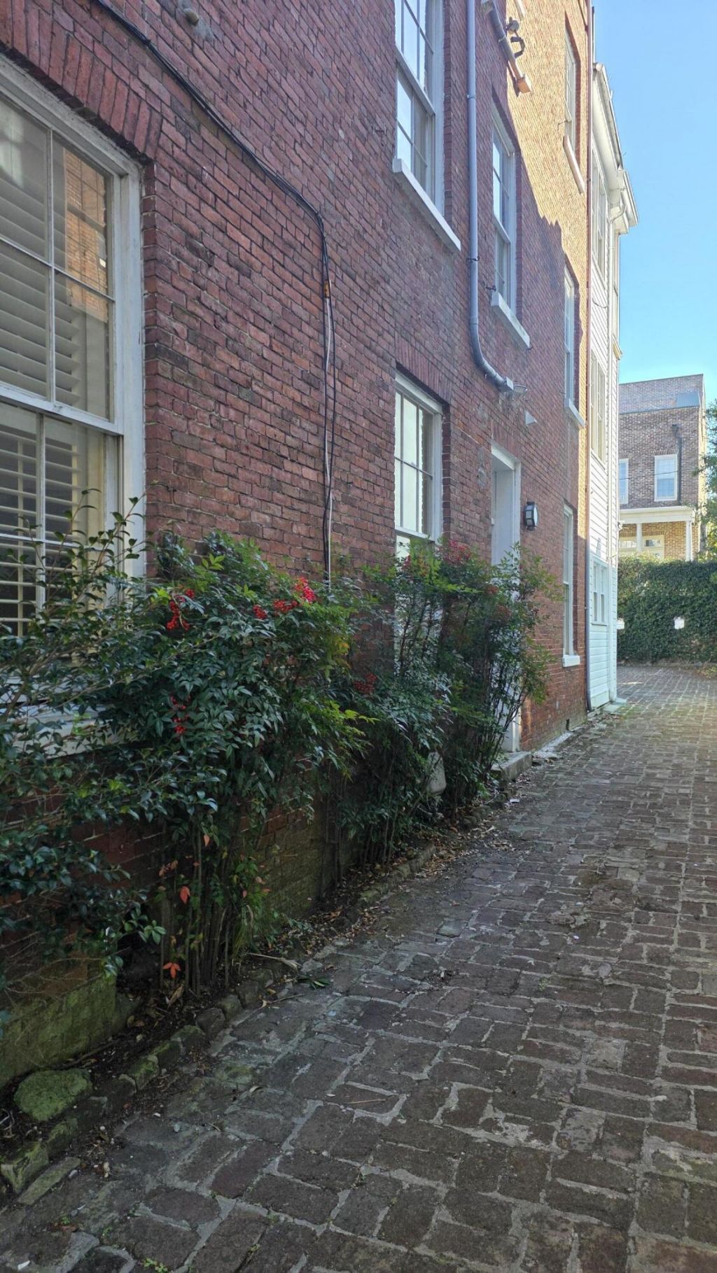 35 Society Street Photo 28