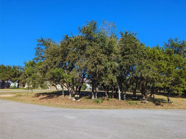 541 Onion Creek LN , Driftwood, TX 78619