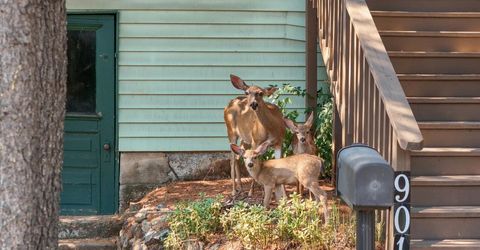 901 Union St, Placerville, CA 95667 Photo