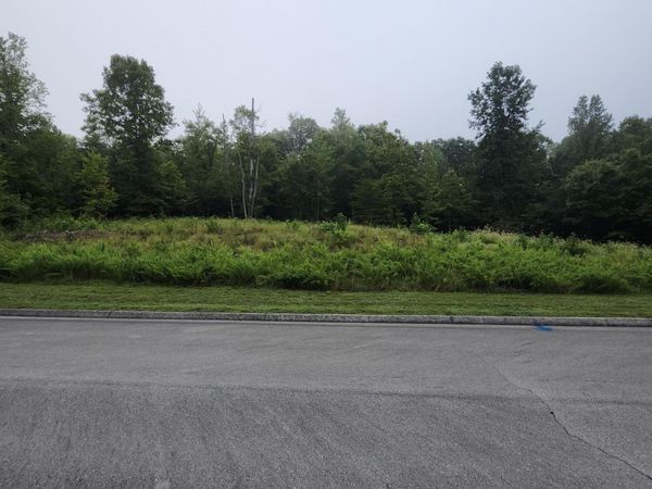 302 Caney View (w/dock) Drive, Harriman, TN 37748