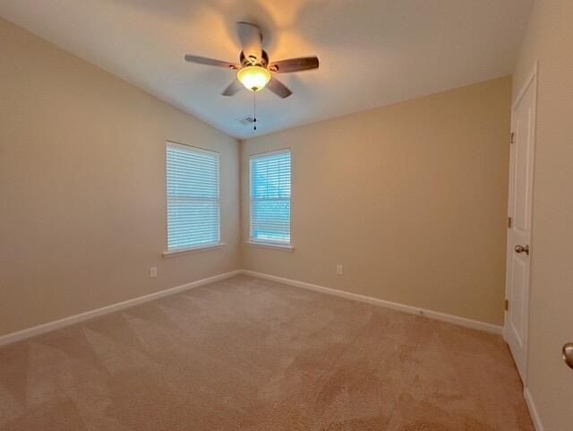 72 Branch Creek Trail Photo 12