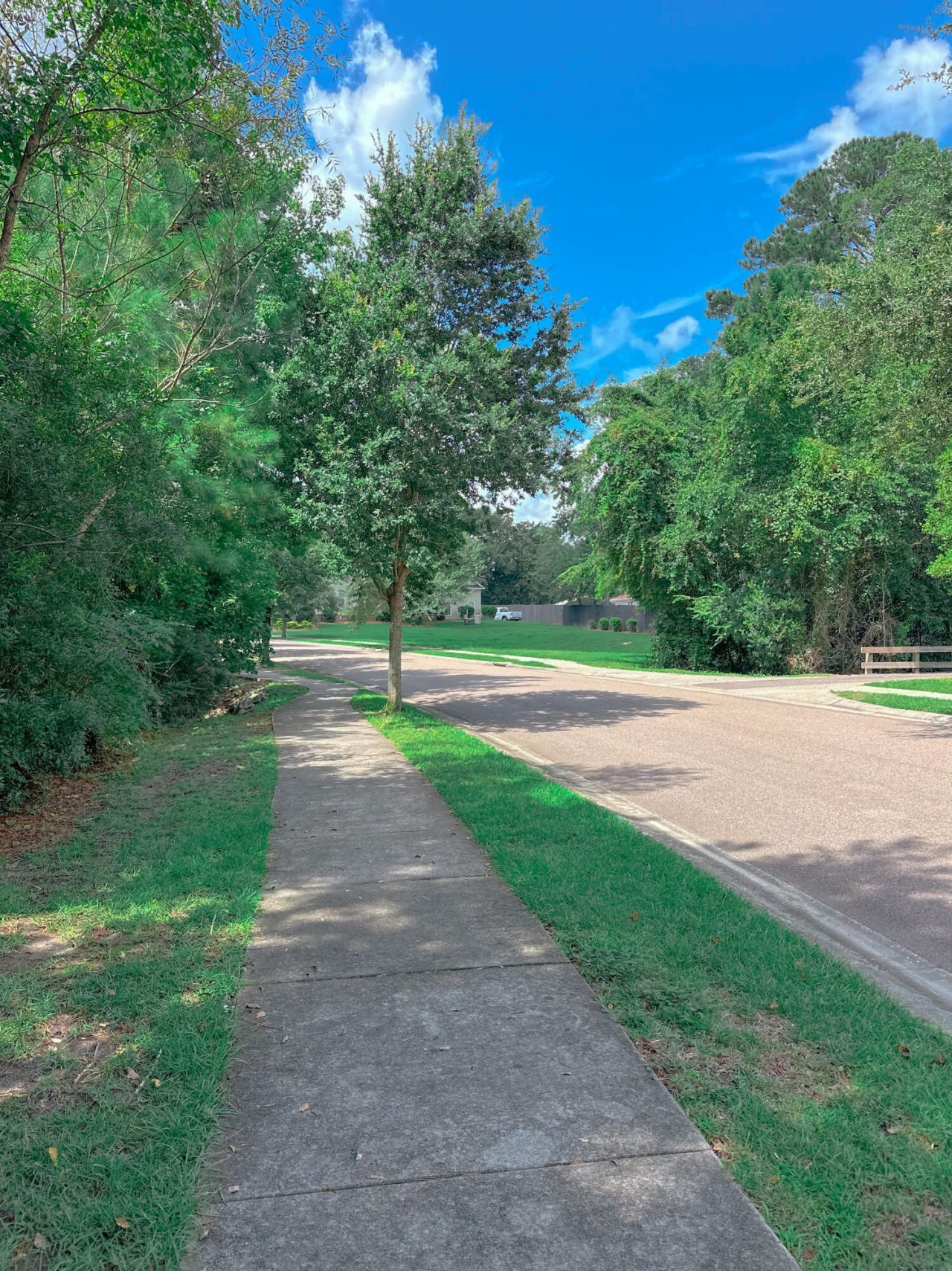 72 Branch Creek Trail Photo 26