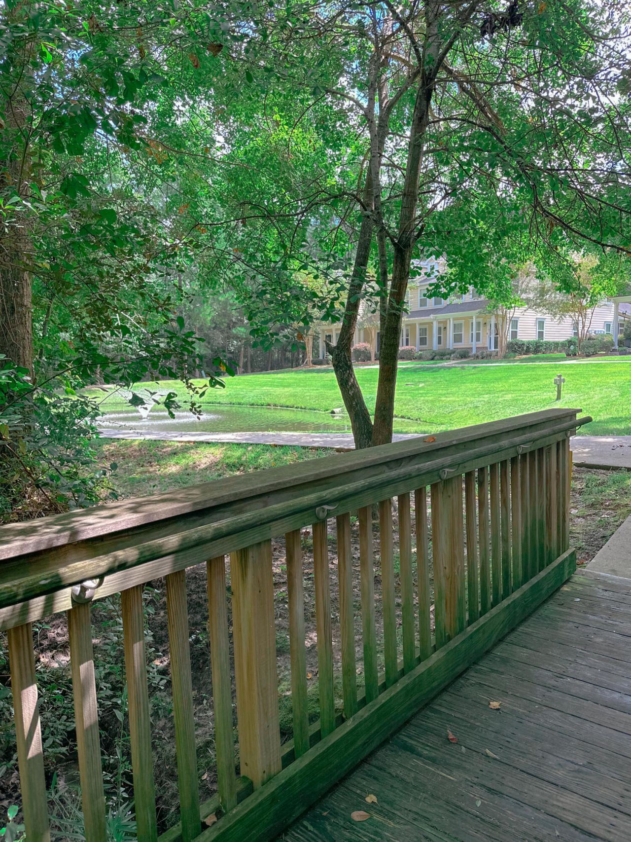 72 Branch Creek Trail Photo 27