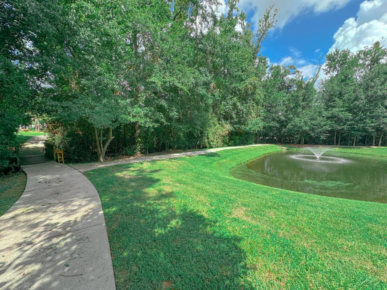 72 Branch Creek Trail Photo 28