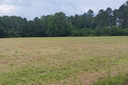 Lot 1 Wigley Rd. photo 4