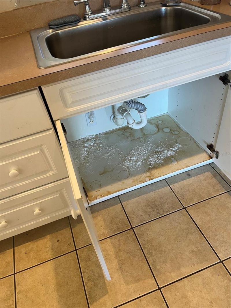 1109 Chaplin Avenue, Lehigh Acres, FL 33971 Photo