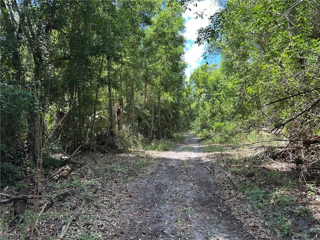 12880 Tower Rd , Bonita Springs, FL 34135 Photo