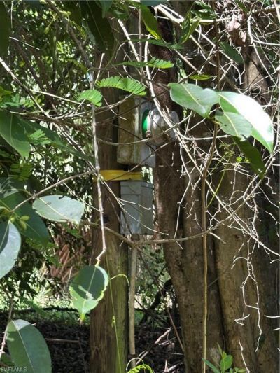 12880 Tower Rd , Bonita Springs, FL 34135 Photo