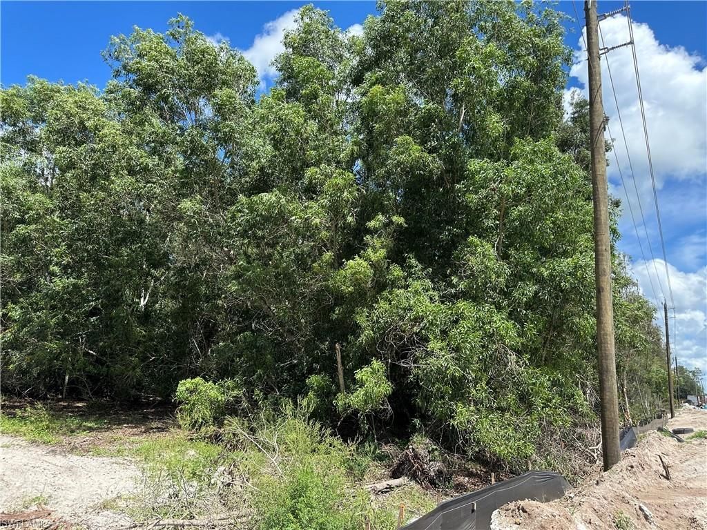 12880 Tower Rd , Bonita Springs, FL 34135 Photo