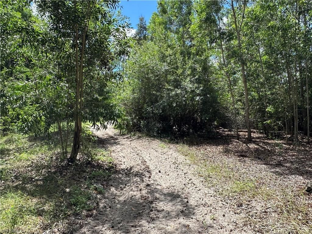 12880 Tower Rd , Bonita Springs, FL 34135 Photo