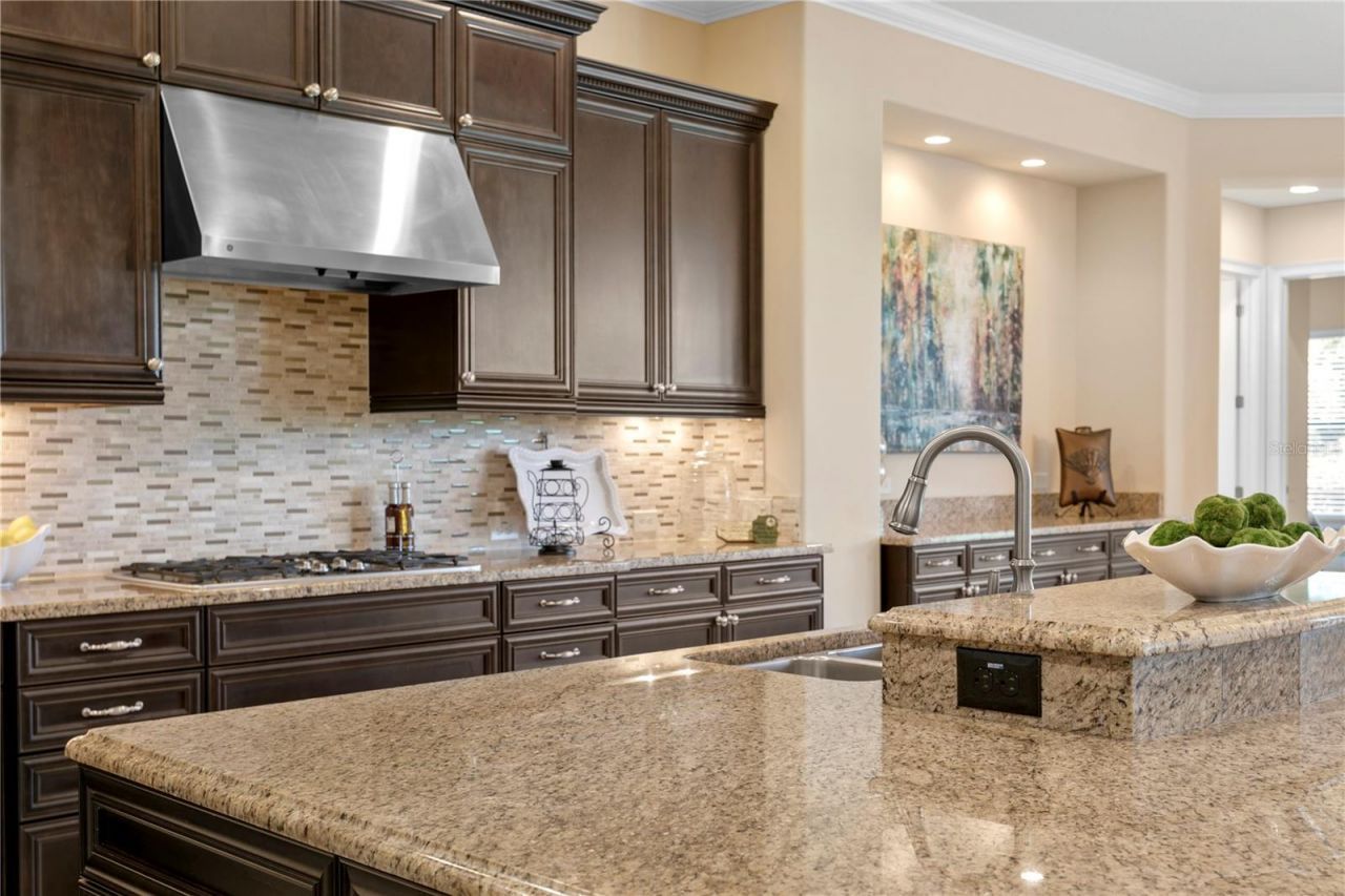 1213 Merry Water Drive, Lutz, FL 33548 Photo