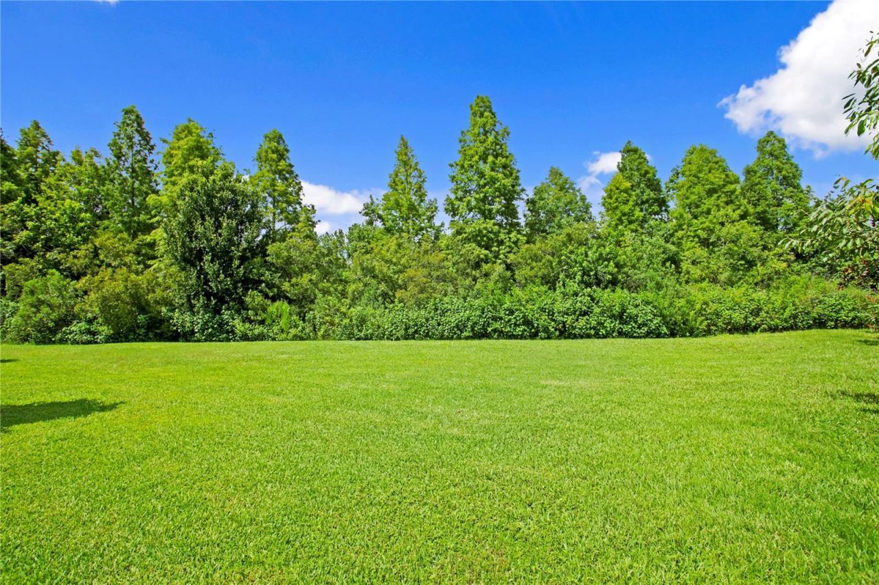 1213 Merry Water Drive, Lutz, FL 33548 Photo