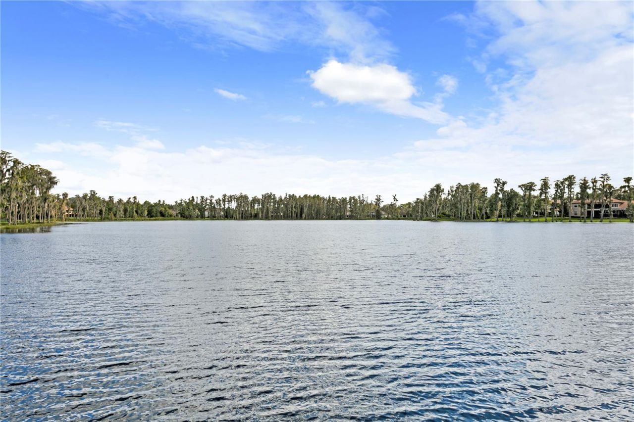 1213 Merry Water Drive, Lutz, FL 33548 Photo