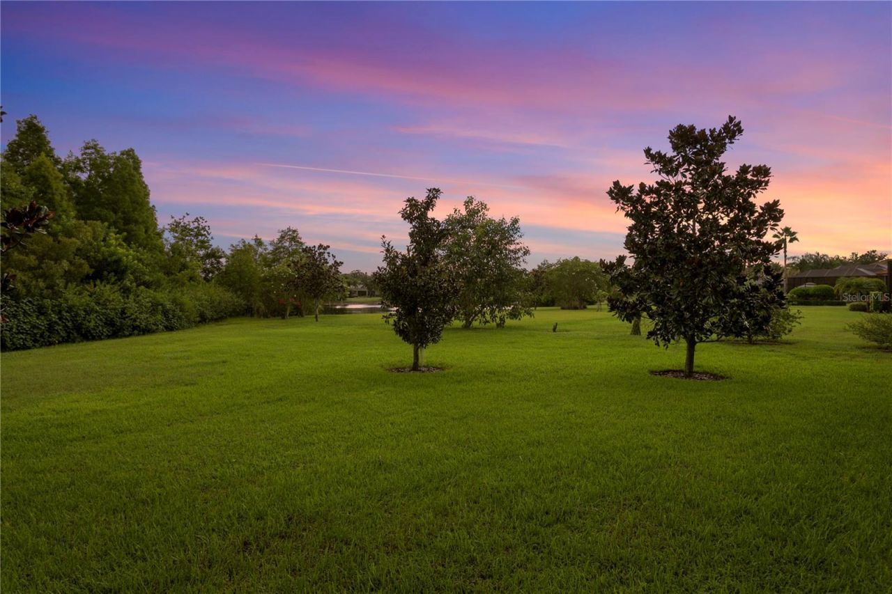 1213 Merry Water Drive, Lutz, FL 33548 Photo