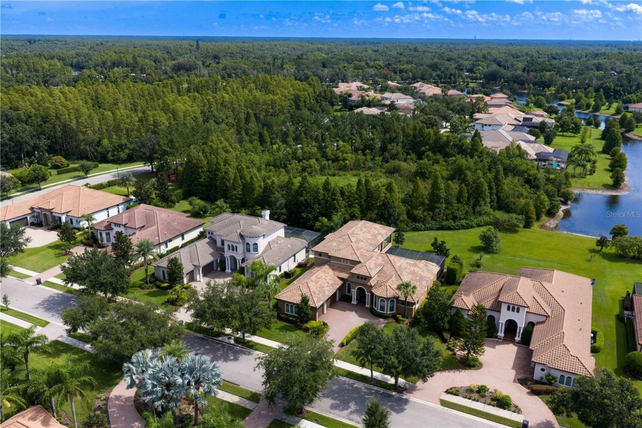 1213 Merry Water Drive, Lutz, FL 33548 Photo