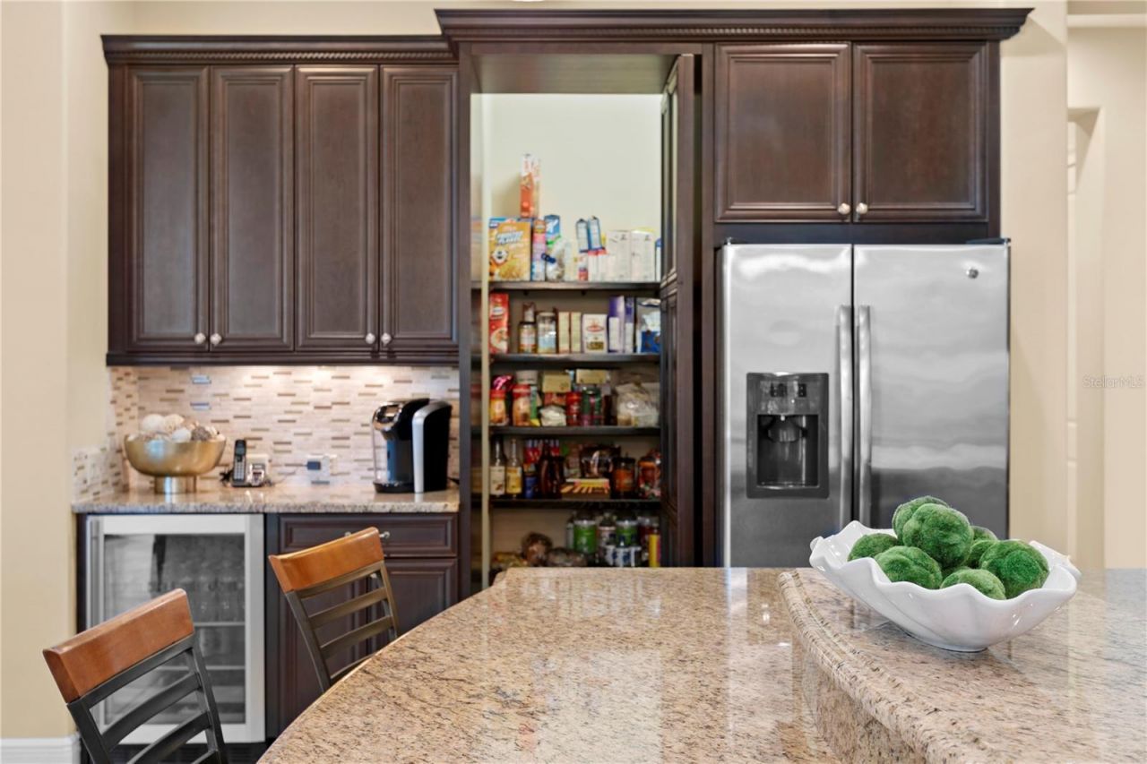 1213 Merry Water Drive, Lutz, FL 33548 Photo