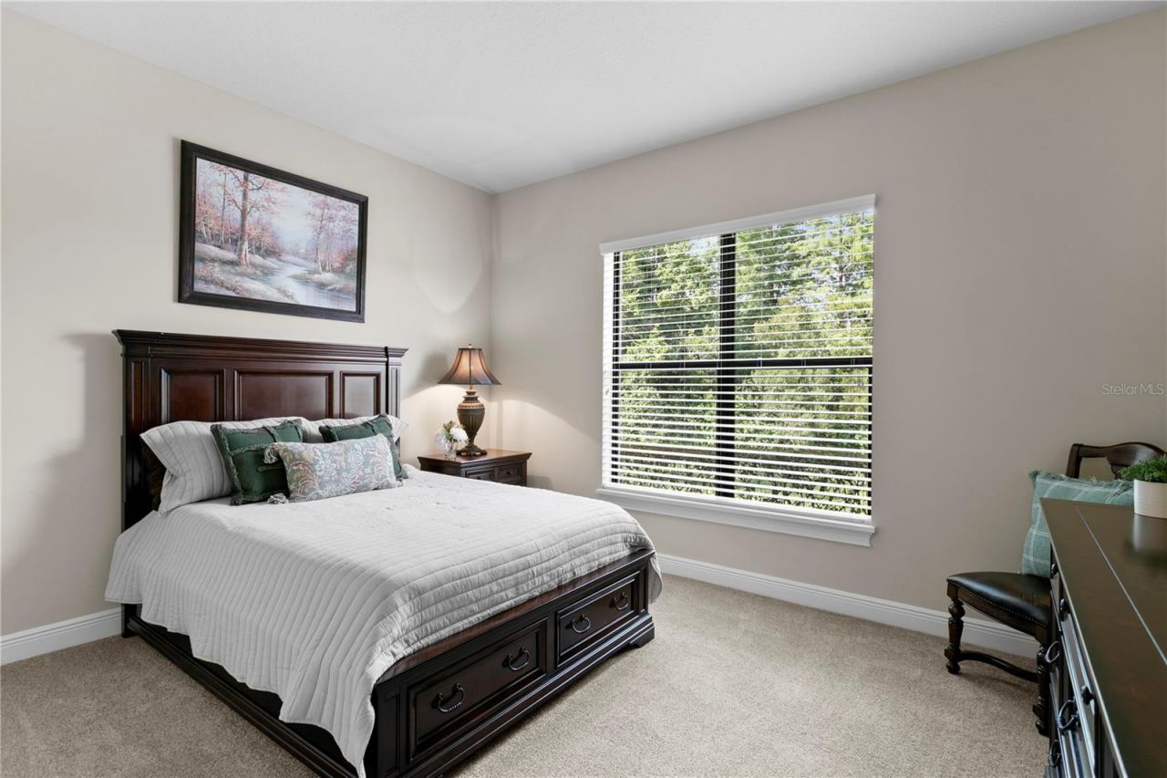 1213 Merry Water Drive, Lutz, FL 33548 Photo