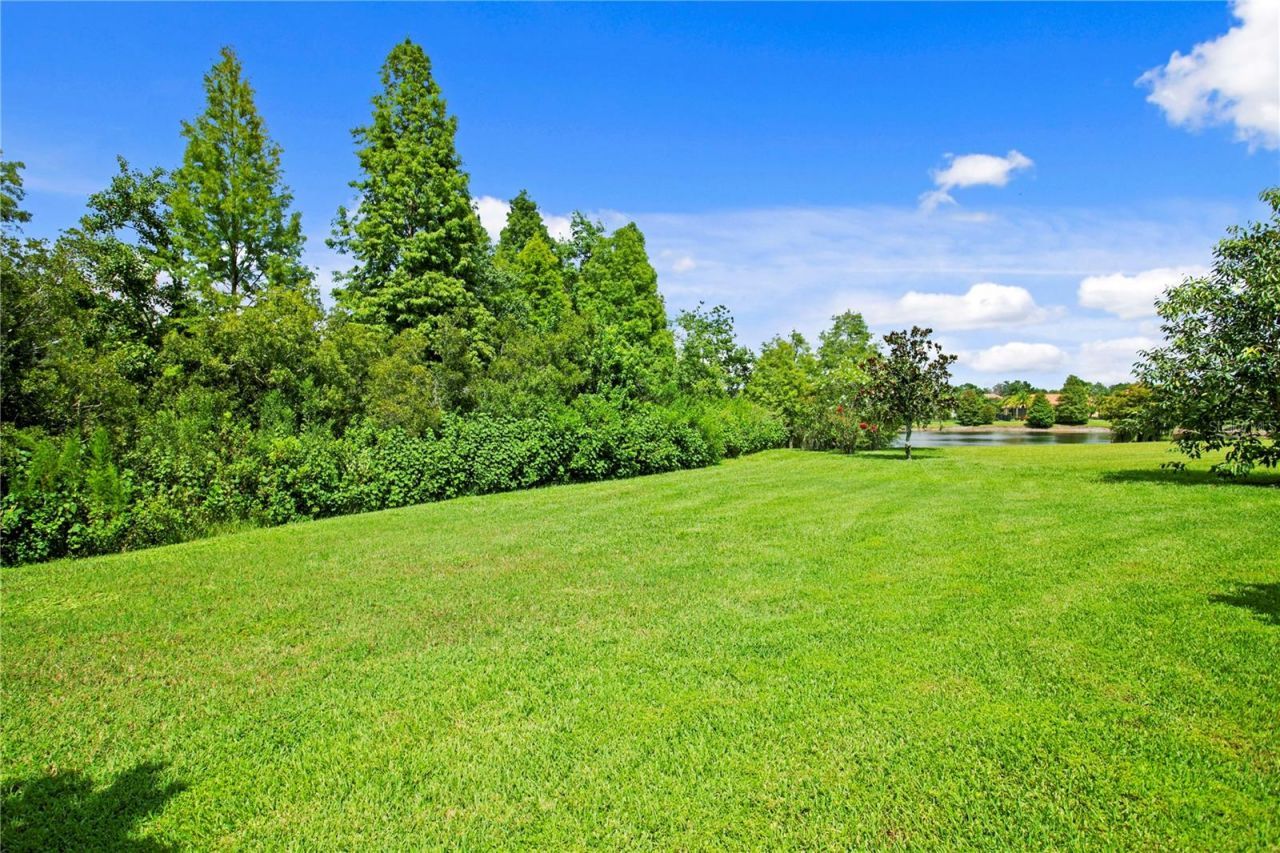 1213 Merry Water Drive, Lutz, FL 33548 Photo