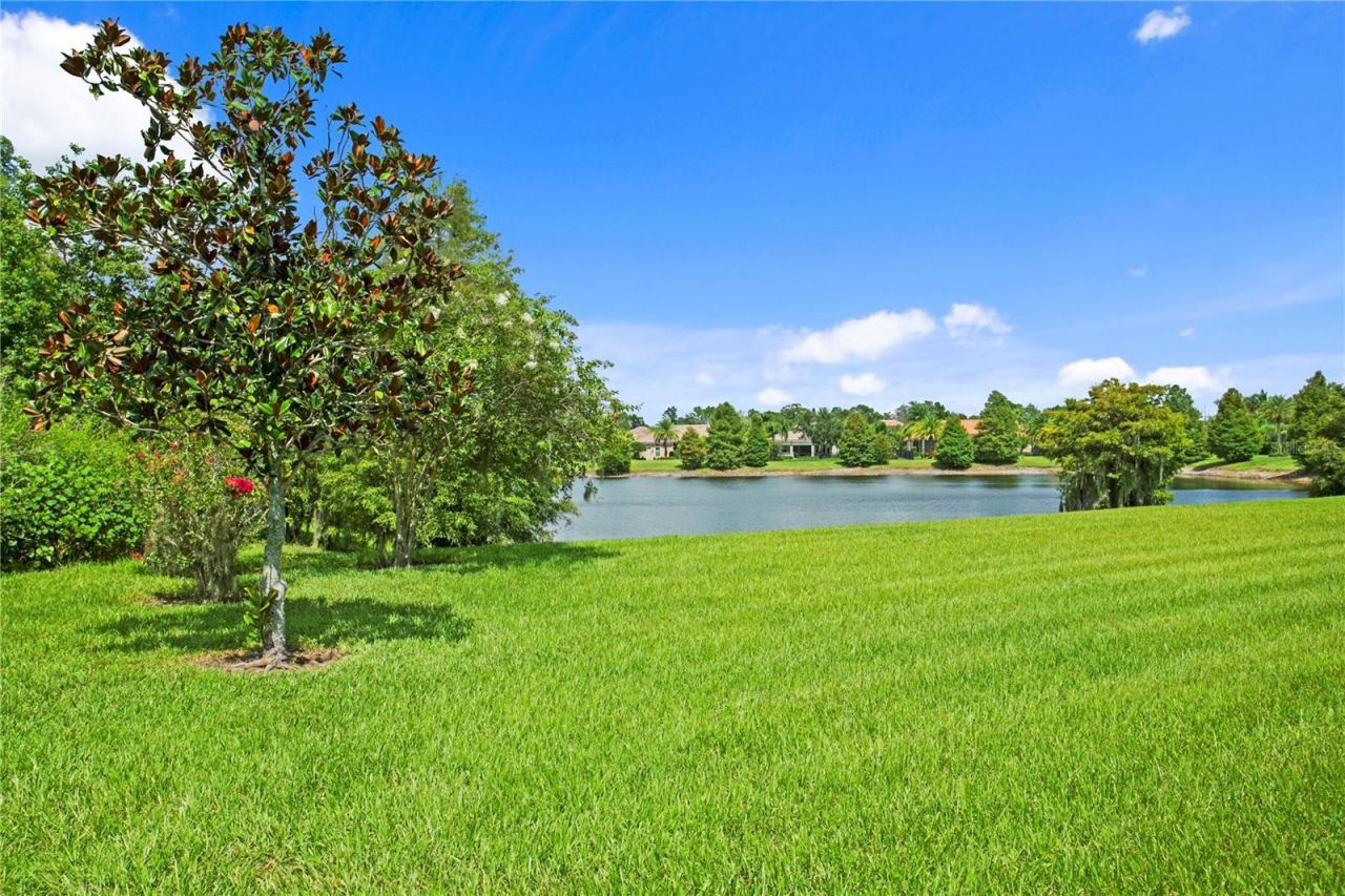 1213 Merry Water Drive, Lutz, FL 33548 Photo