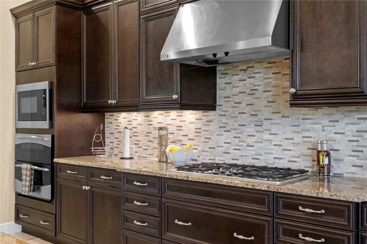 1213 Merry Water Drive, Lutz, FL 33548 Photo