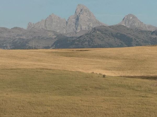 TBD Woodrush Road, FELT, ID 83422