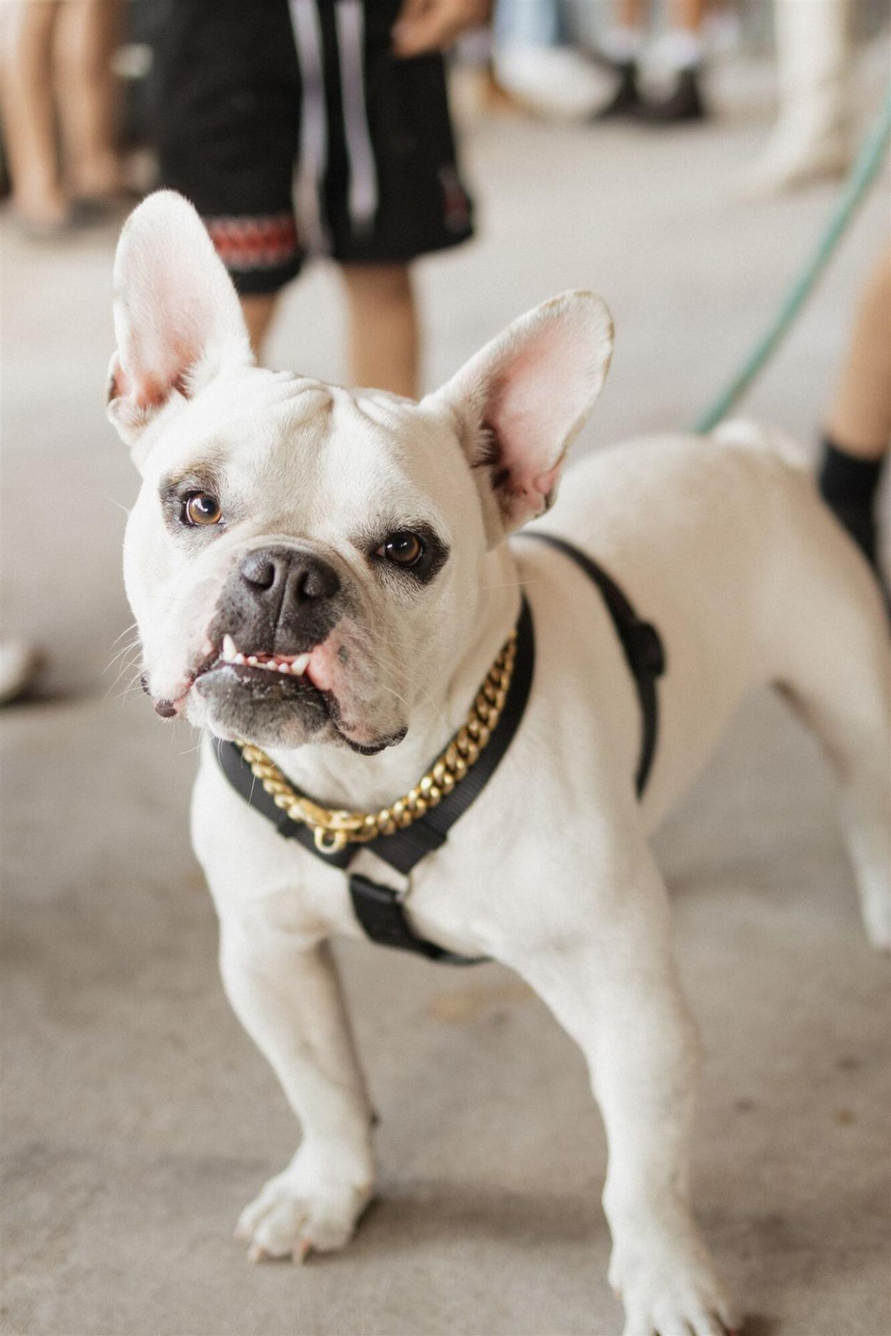 24770 SW 95th Street, Indiantown, FL 34956 Photo