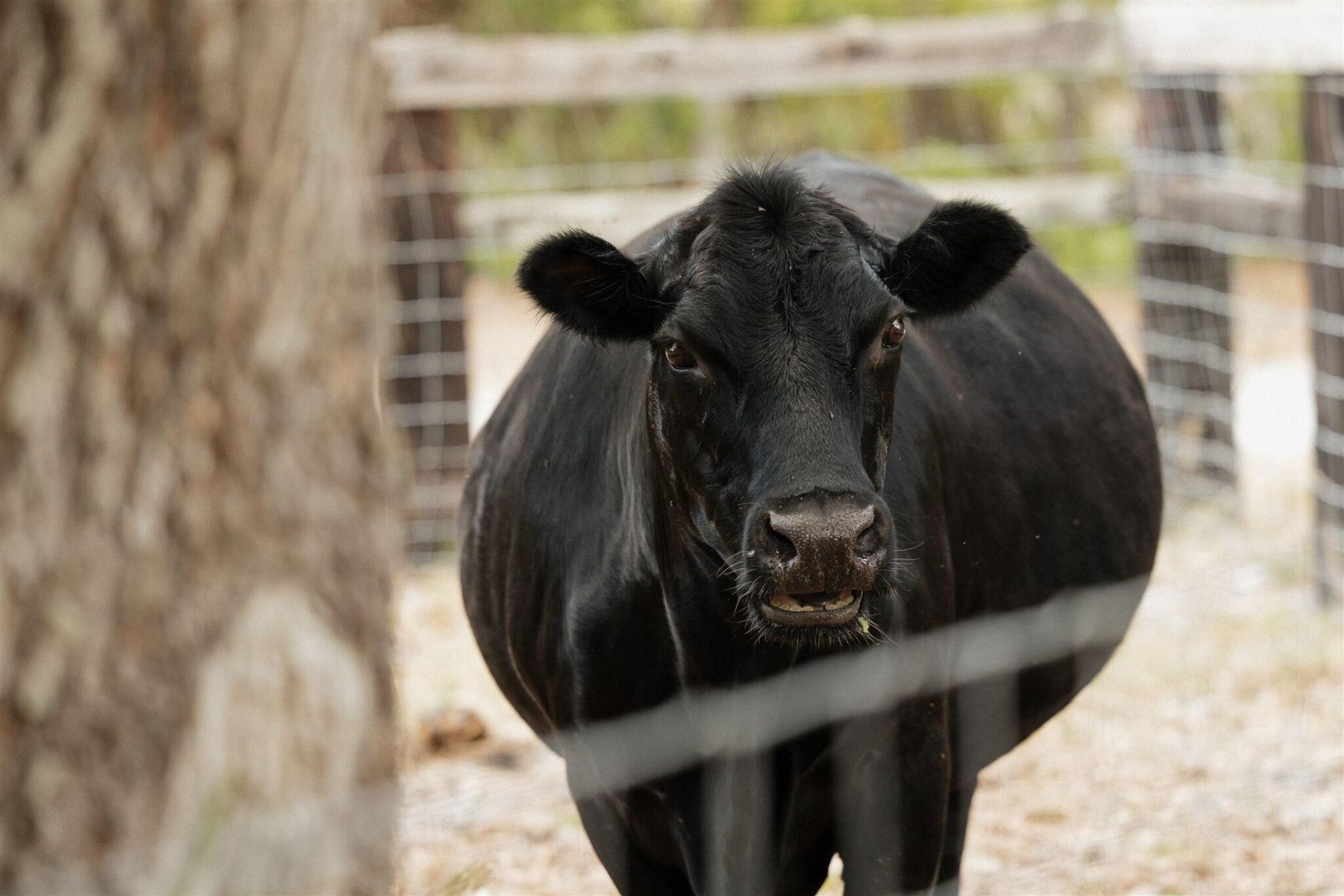 24770 SW 95th Street, Indiantown, FL 34956 Photo