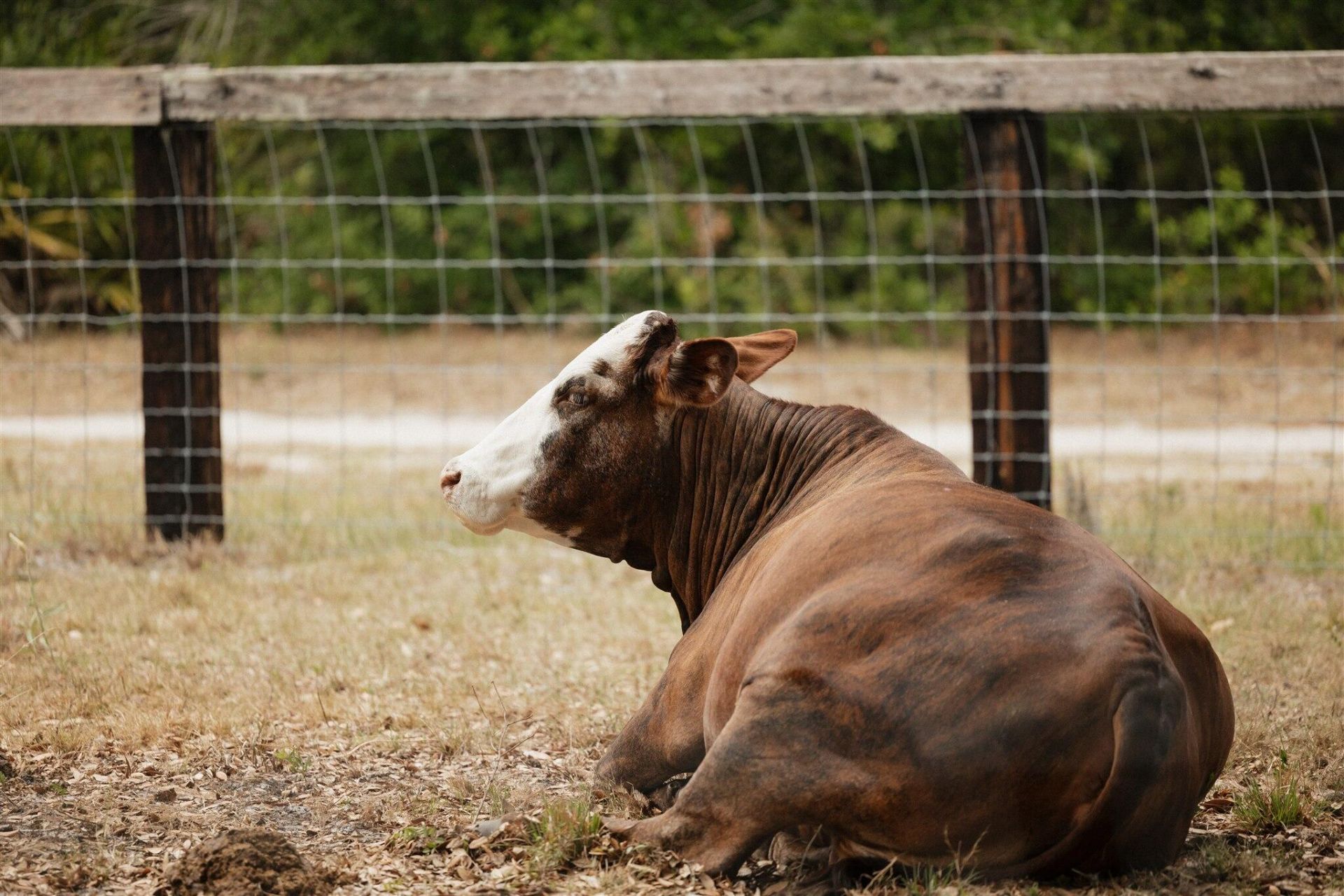 24770 SW 95th Street, Indiantown, FL 34956 Photo