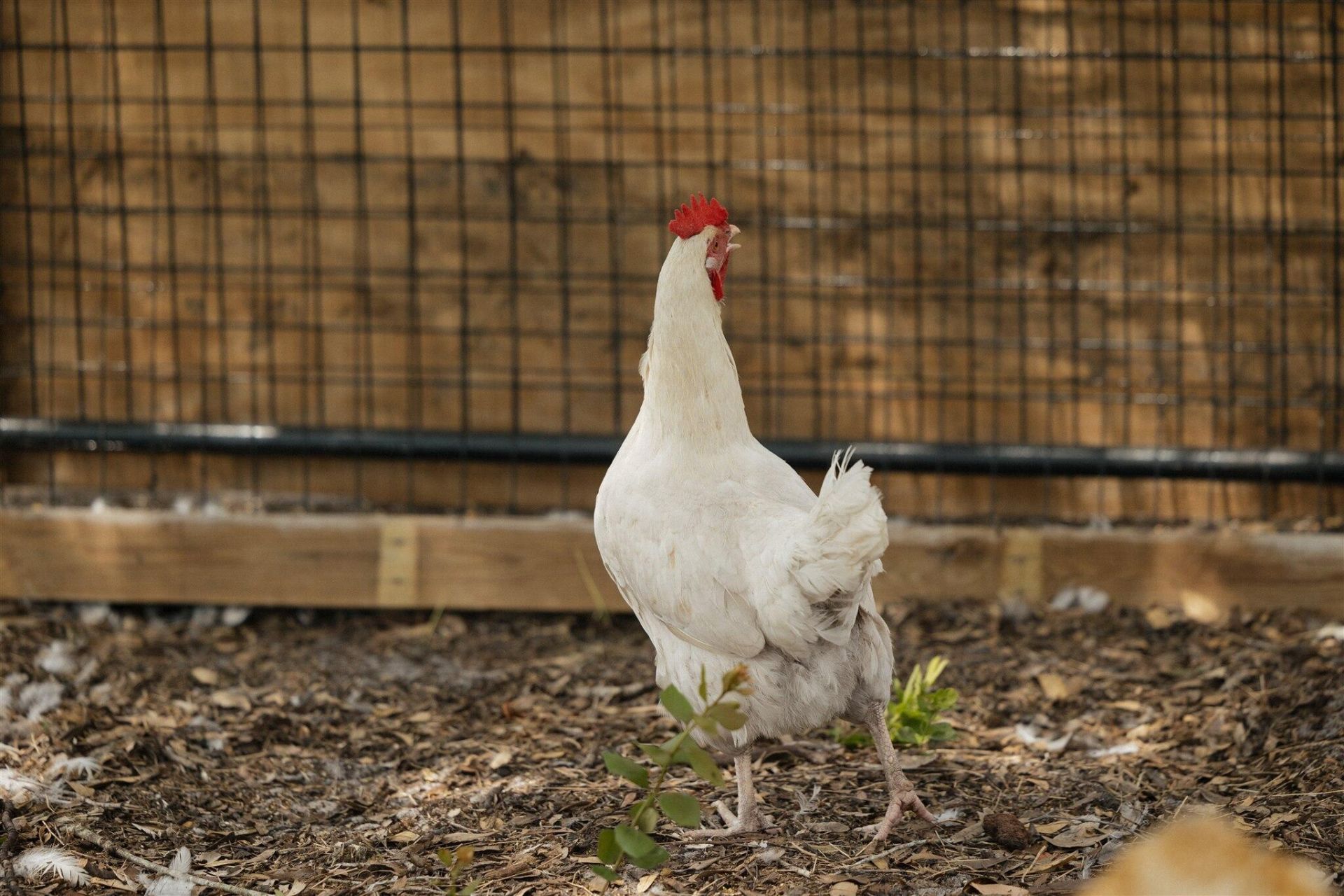 24770 SW 95th Street, Indiantown, FL 34956 Photo