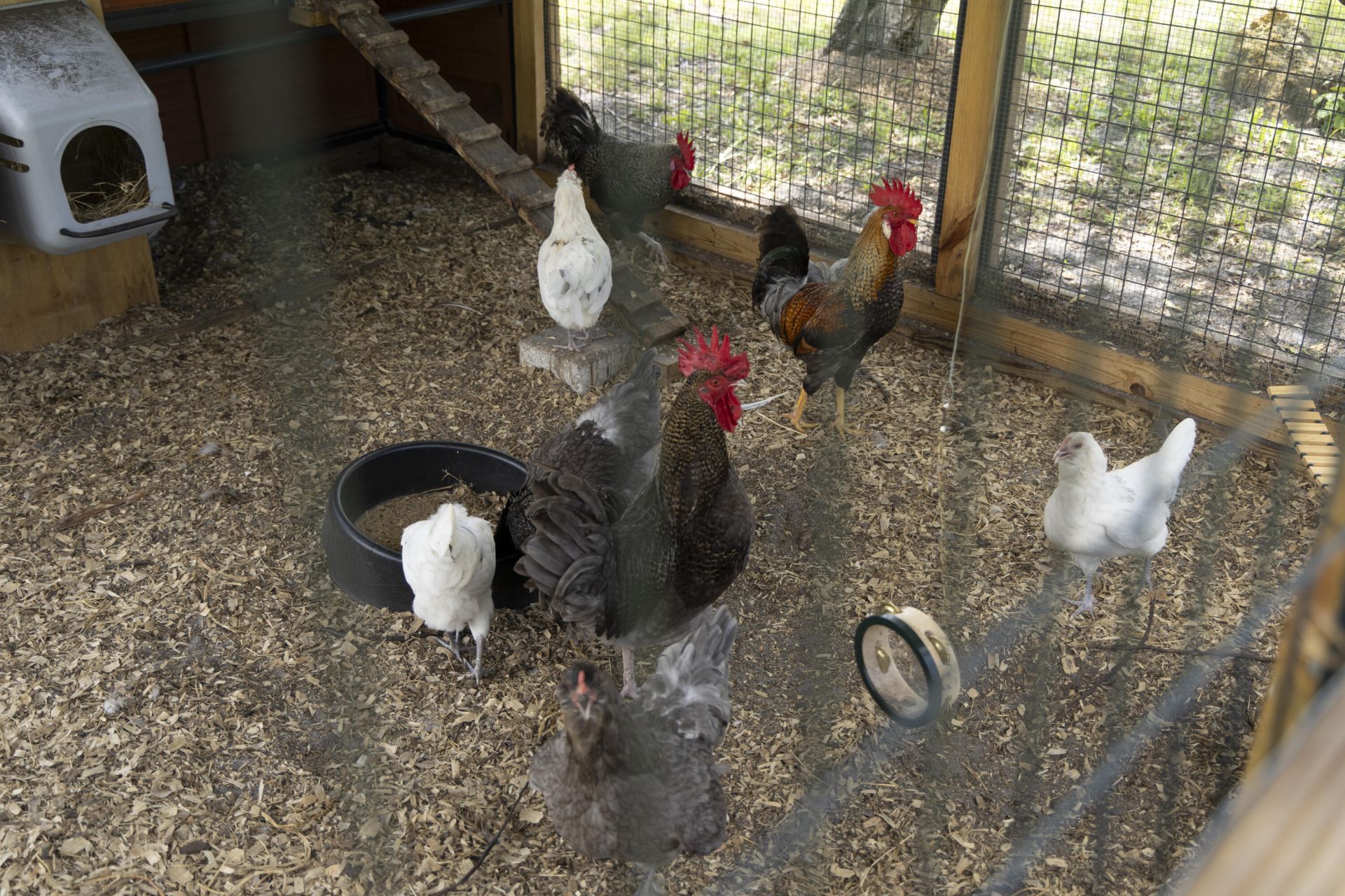 24770 SW 95th Street, Indiantown, FL 34956 Photo