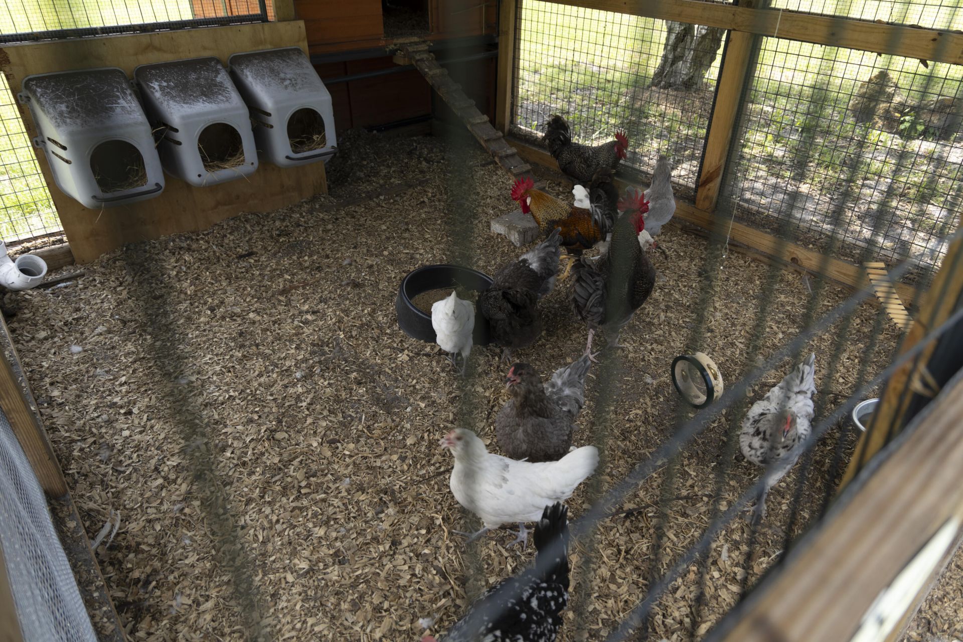 24770 SW 95th Street, Indiantown, FL 34956 Photo