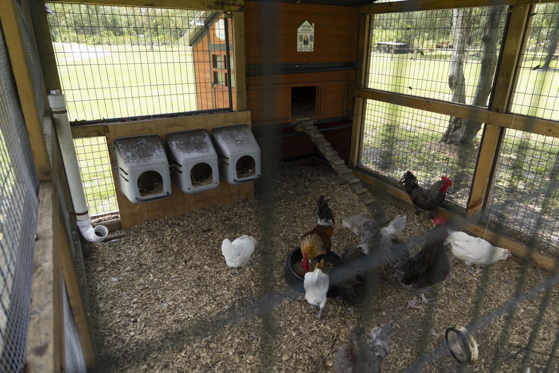 24770 SW 95th Street, Indiantown, FL 34956 Photo