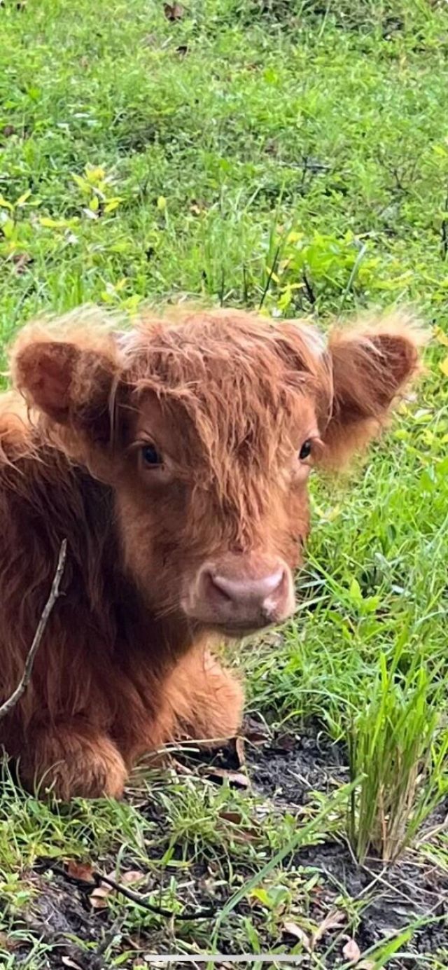 24770 SW 95th Street, Indiantown, FL 34956 Photo