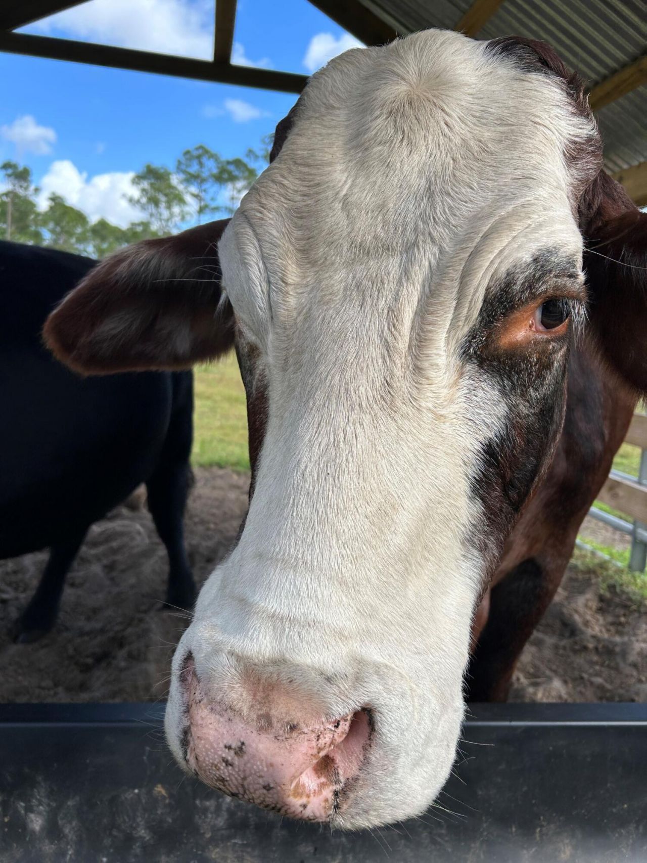 24770 SW 95th Street, Indiantown, FL 34956 Photo