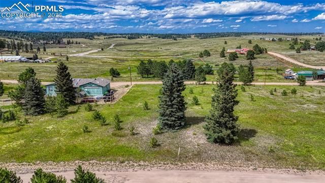 1129 Will Scarlet Drive, Divide, CO 80814 Main Photo
