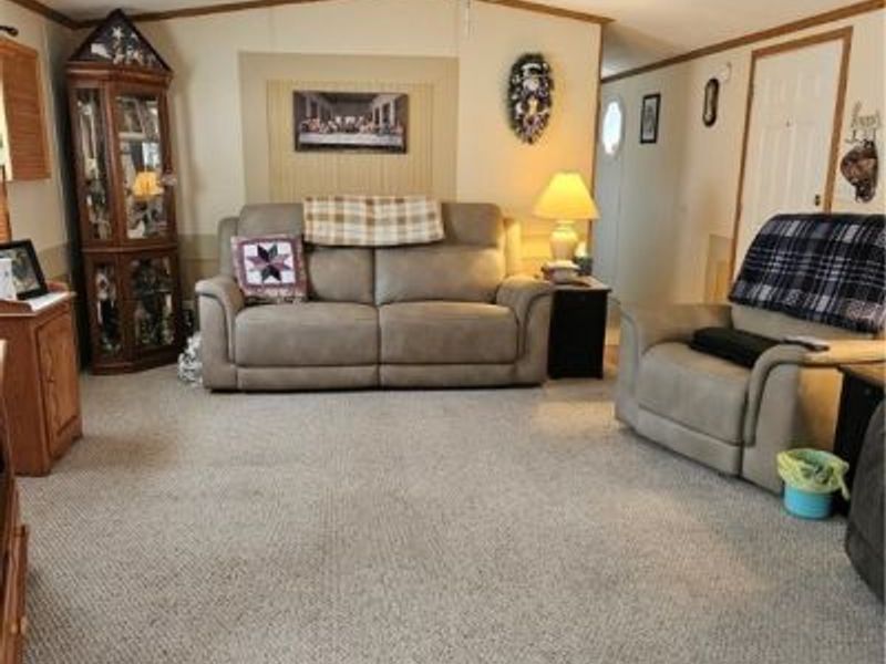 203 E Street SW, Navarre, OH 44662 Photo 3