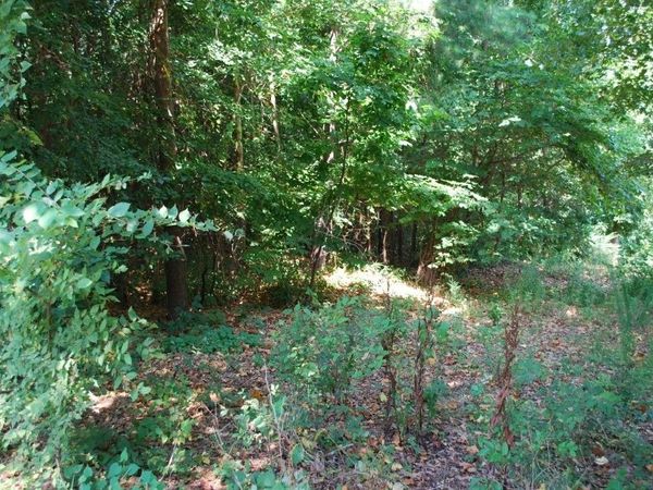 Lot 5 Neffwood Lane , Bella Vista, AR 72715