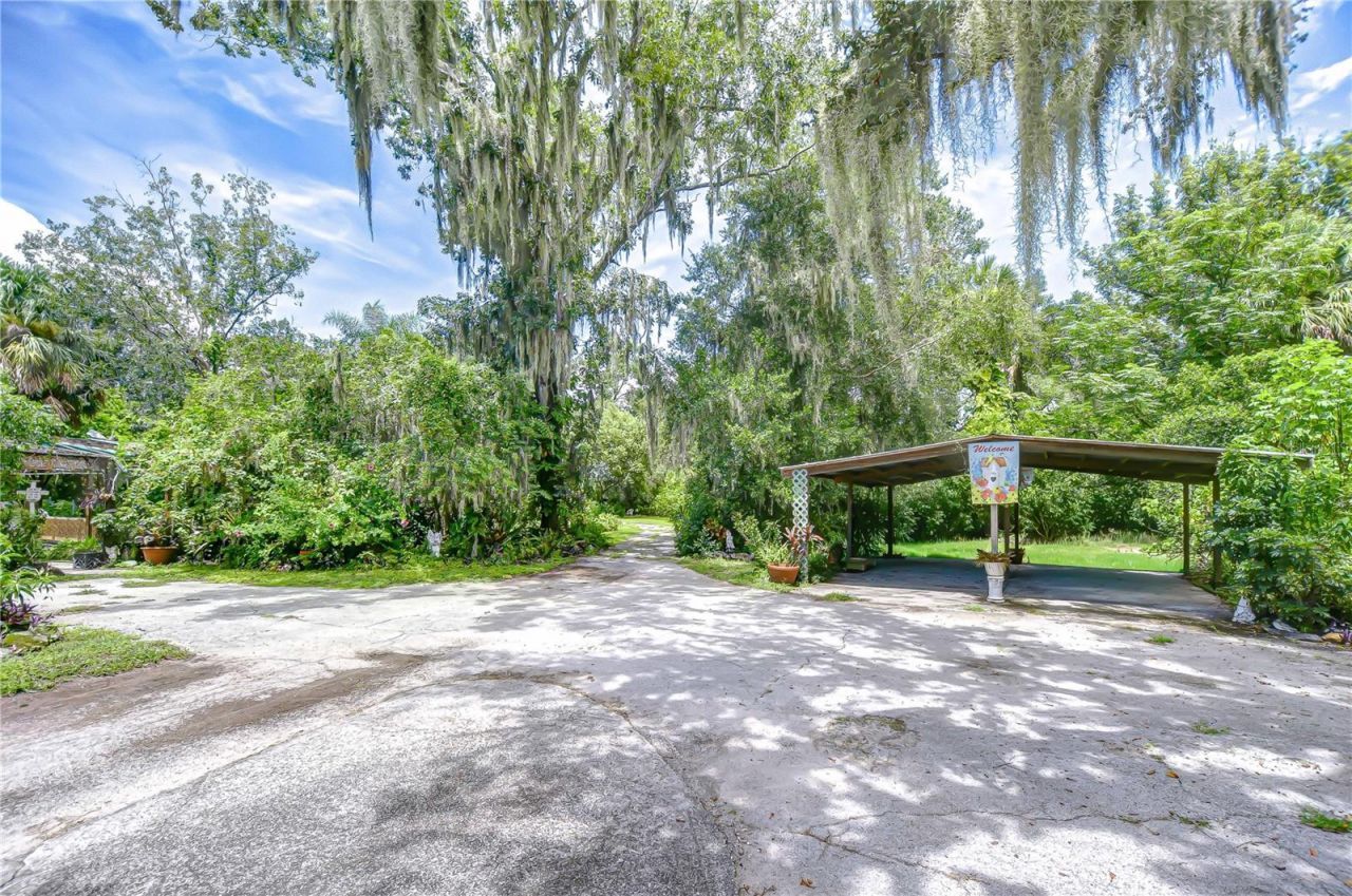 10904 Hackney Drive, Riverview, FL 33578 Photo