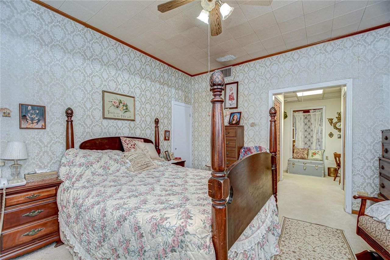 10904 Hackney Drive, Riverview, FL 33578 Photo