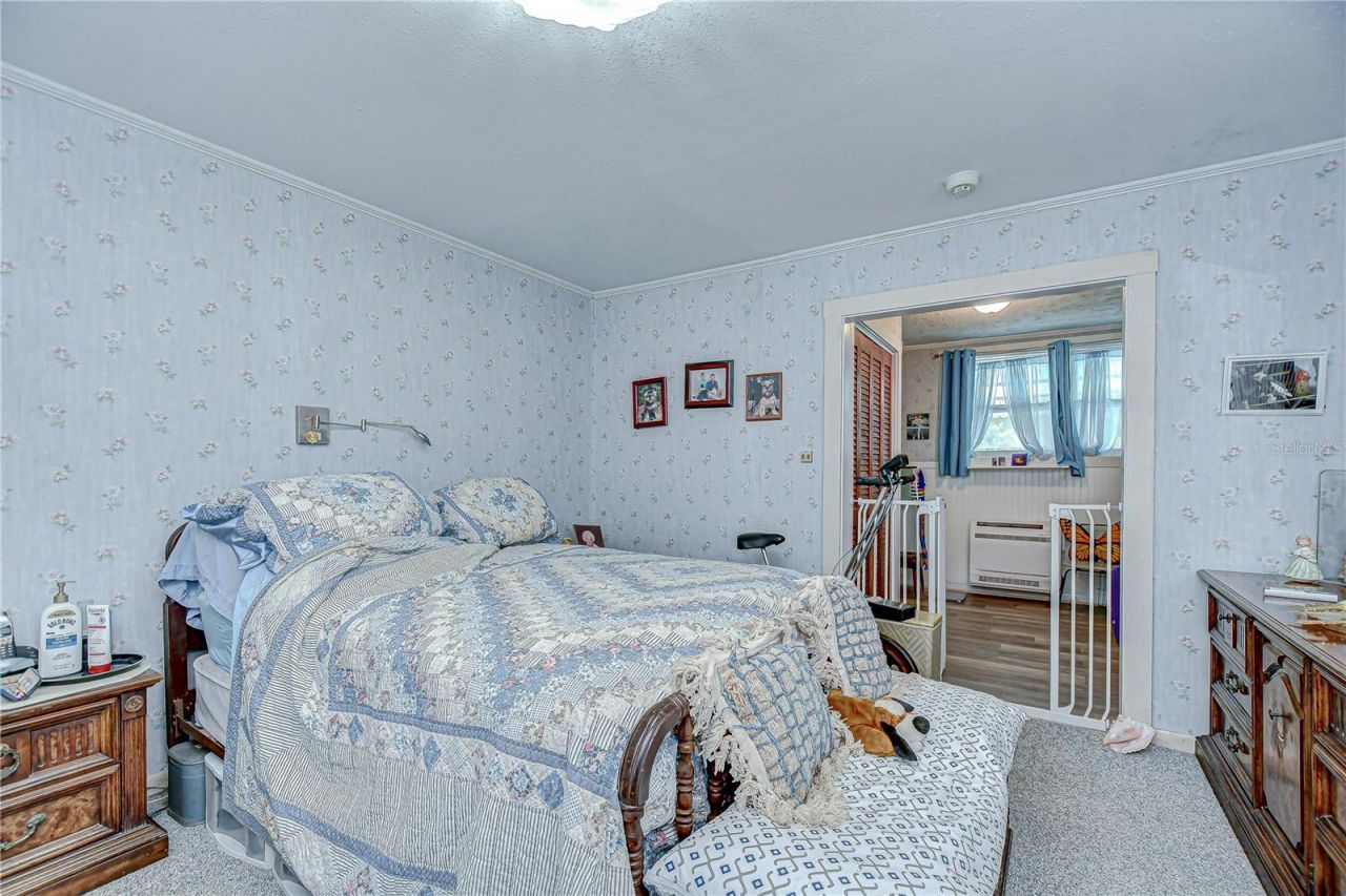 10904 Hackney Drive, Riverview, FL 33578 Photo