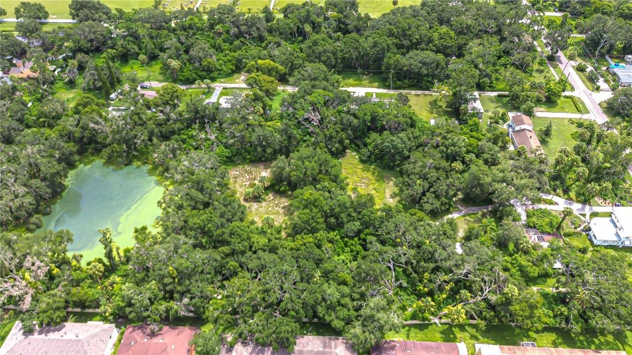 10904 Hackney Drive, Riverview, FL 33578 Photo